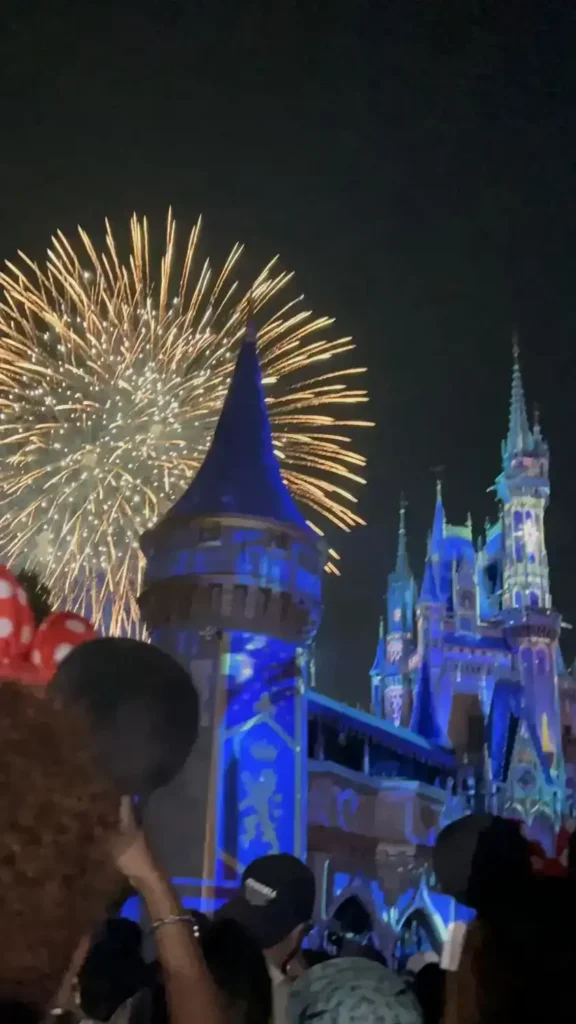 Magic Kingdom nightime fireworks 