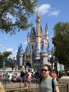 Magic Kingdom's castle can be enjoyed on budget using travel reward points and cash back apps