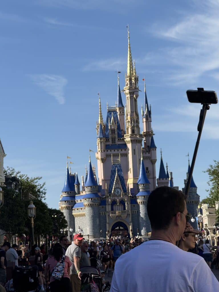 Magic Kingdom Castle