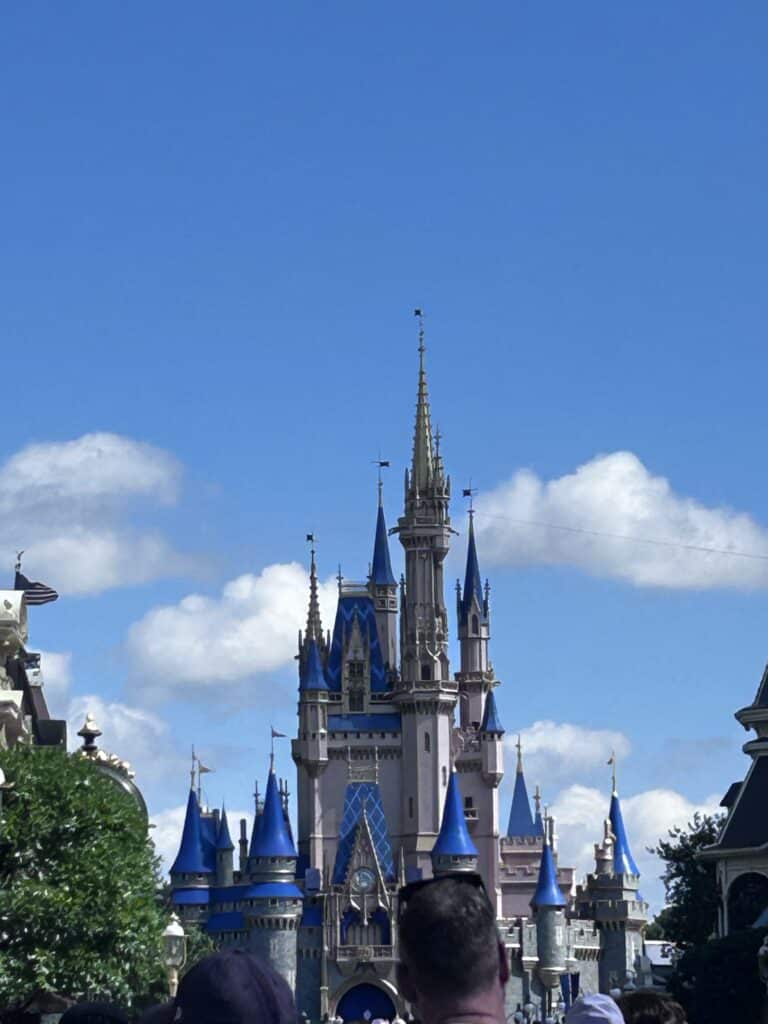 Magic Kingdom's castle can be enjoyed on budget using the incredi-pass, travel reward points and cash back apps