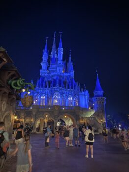 Magic Kingdom castle can be enjoyed on a budget by using points and cashback