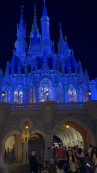 Magic Kingdom castle at night can be enjoyed at night by maximizing points for a budget trip