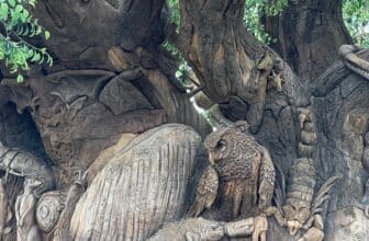 Animal Kingdom Park, Disney World