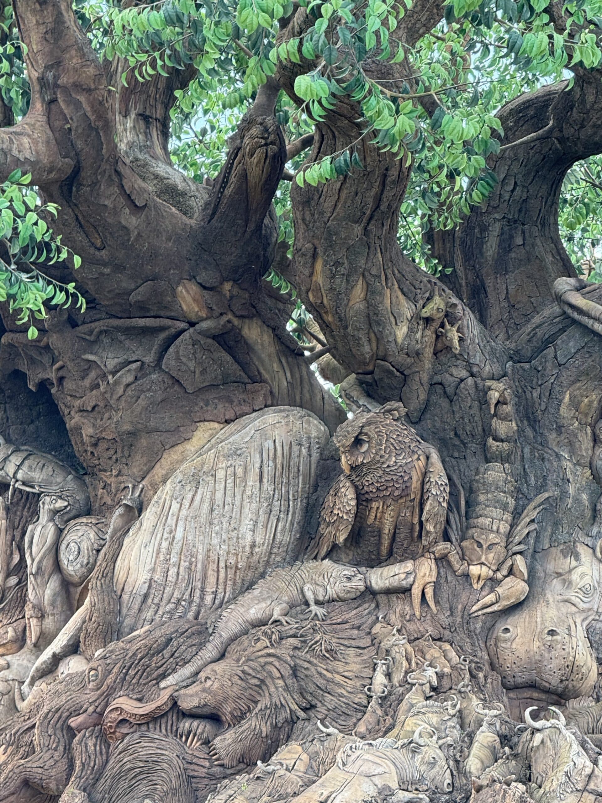 Animal Kingdom Park, Disney World