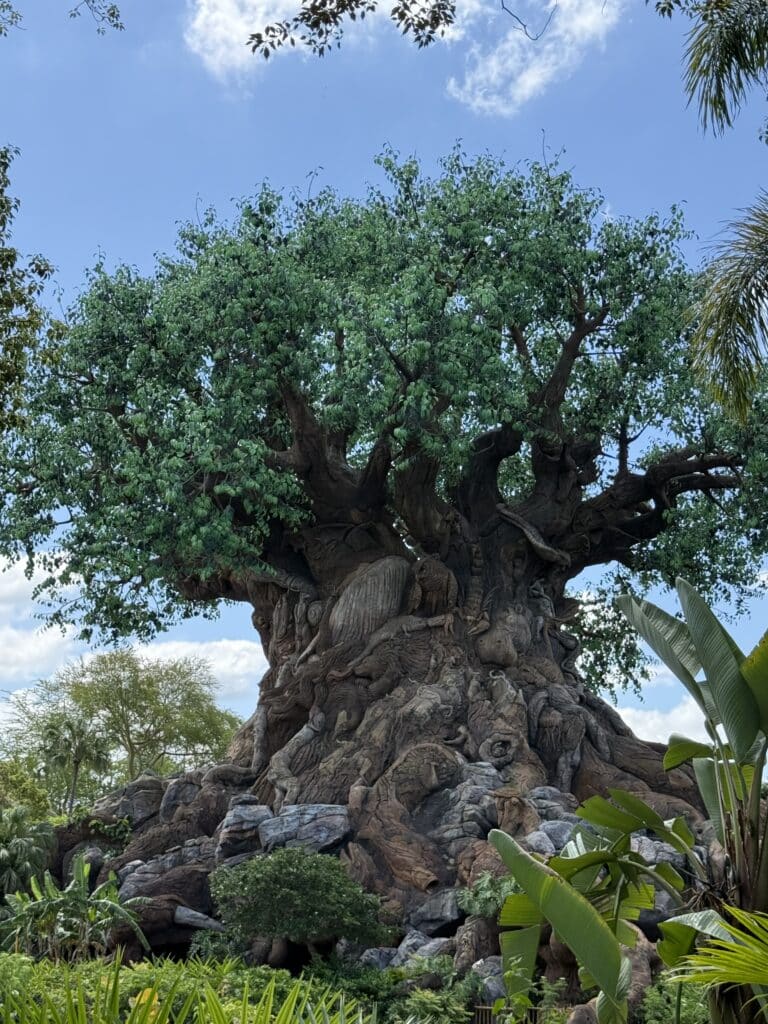 Tree of Life at Animal Kingdom, Disney World