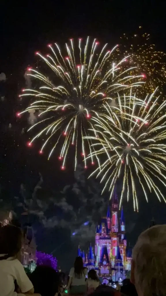 Magic Kingdom nightime fireworks