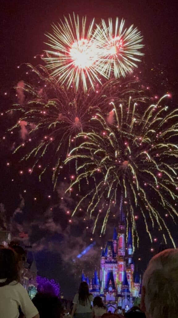 Fireworks at Magic Kingdom