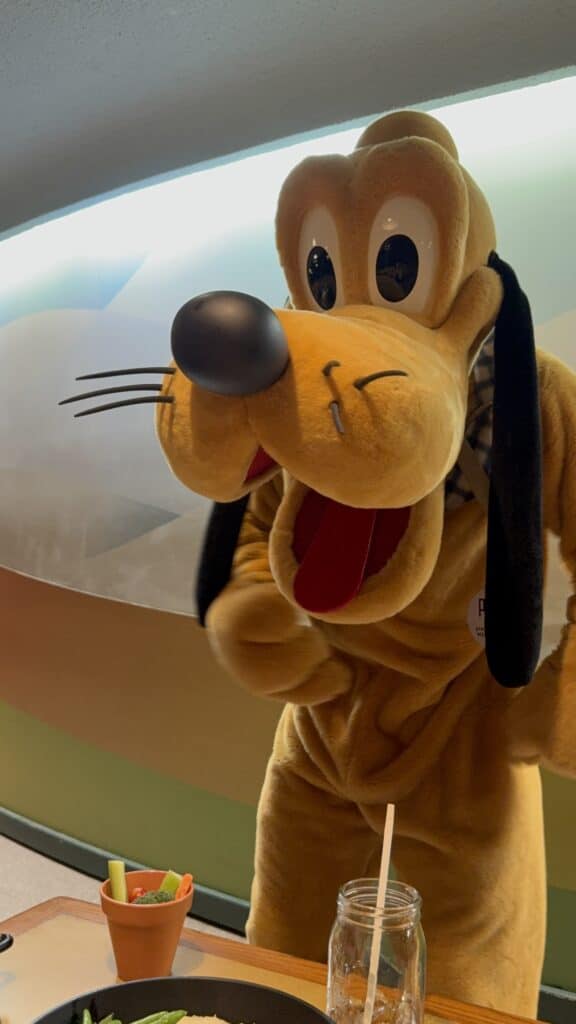 Pluto at Garden Grill character dine in Epcot, Disney World
