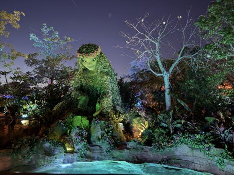 Moana Journey of water, Epcot