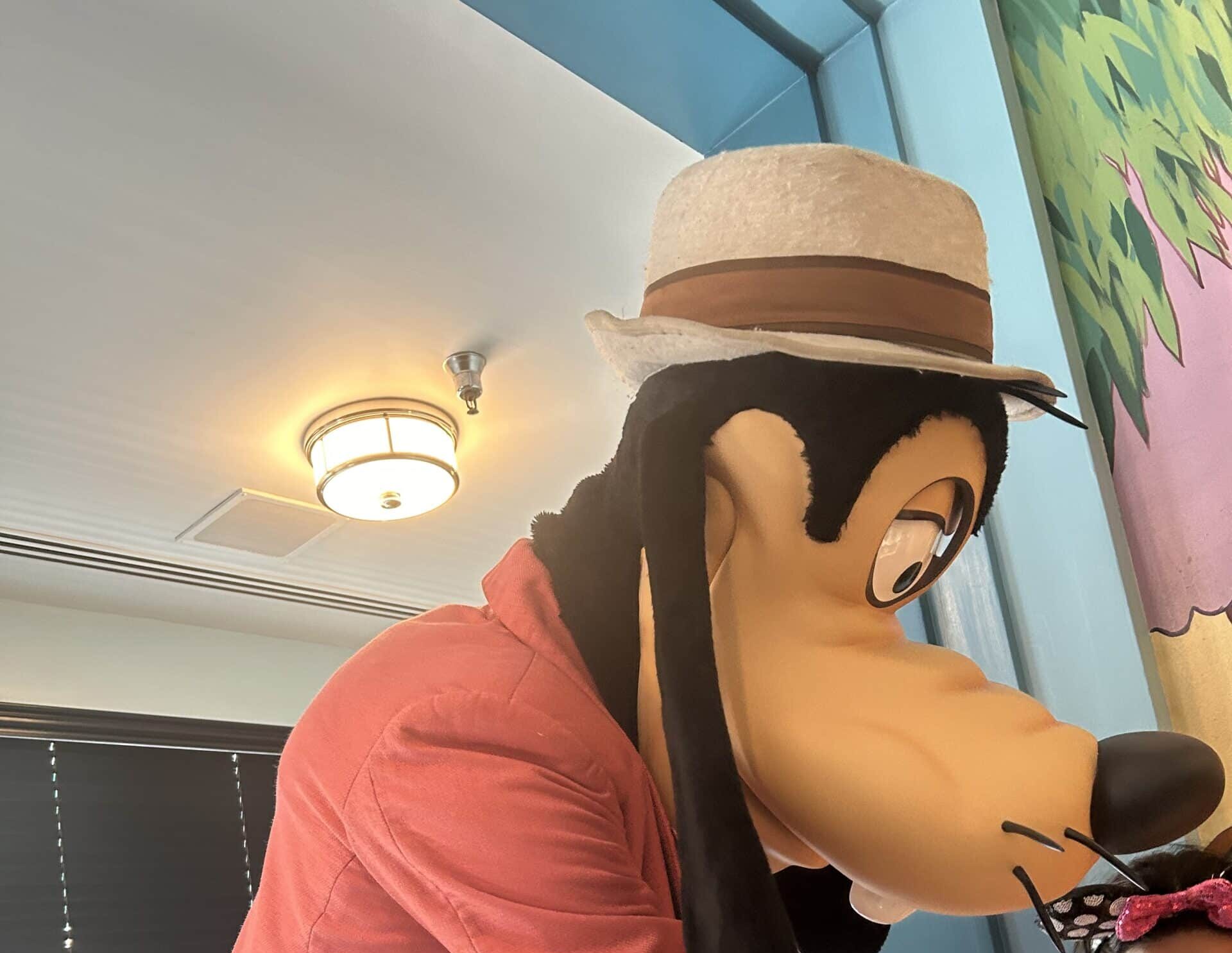 Enjoy Goofy at Hollywood & Vine in Hollywood Studios, Disney World