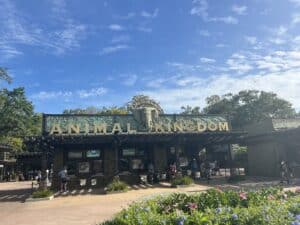 Animal Kingdom, Disney World