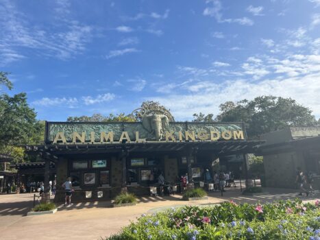 Welcome sign at Disney's Animal Kingdom