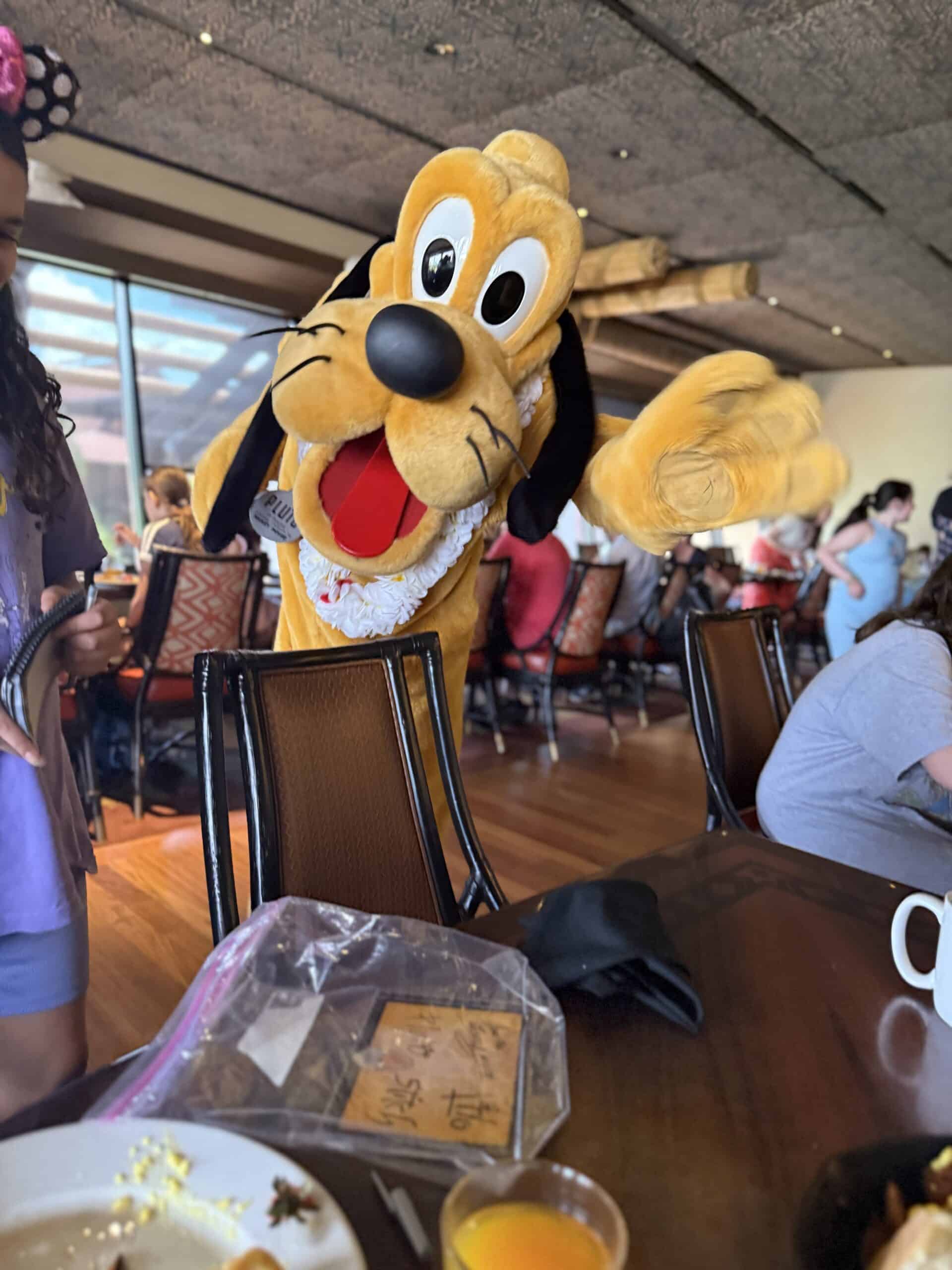 Pluto character visiting table at ‘Ohana breakfast at Disney’s Polynesian Village Resort