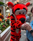 Crystal Palace Lunch Review: Best Buffet at Magic Kingdom