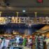 Starlight Safari at Disney’s Animal Kingdom Lodge: Complete Review & Booking Tips