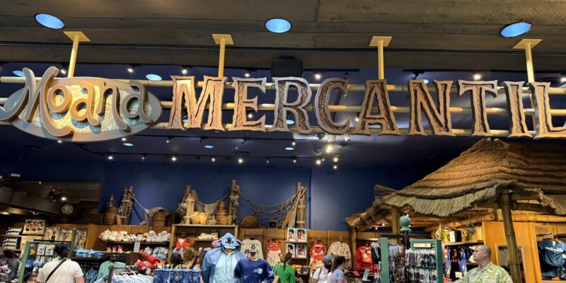 11 Amazon Must Haves for Disney World