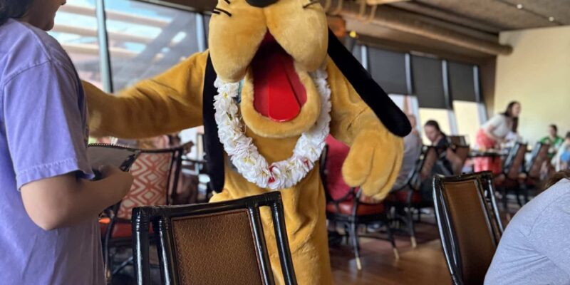 How to Use Capital One Miles for Disney World Tickets and ON-PROPERTY Hotels