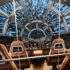Best Pet Friendly Hotels Near Disney On Reward Points