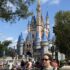 Complete Guide to Using Hyatt Points for Disney World Hotels