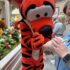 Our First Day at Magic Kingdom: Family Rides, Character Meals & Fireworks