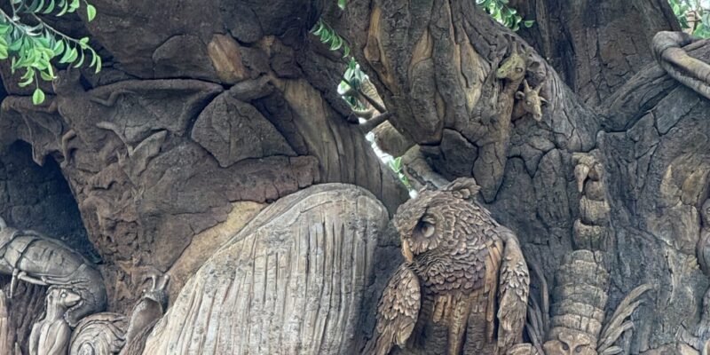Disney Park Hopping: Animal Kingdom Morning & Magic Kingdom