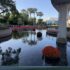 6-Day Disney World Family Trip Recap (With Budget Tips & Highlights)