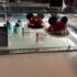 Disney World’s 1900 Park Fare Character Dinner Review