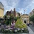 Caring for Giants Review: Disney’s Elephant Tour Worth It?